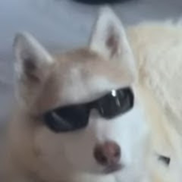 jafiahedwards77